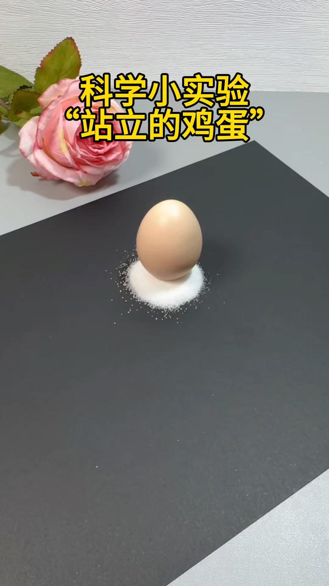 科学小实验《站立的鸡蛋》,小实验大道理。#科学小实验# #幼儿园创意手工# #趣味开学季#