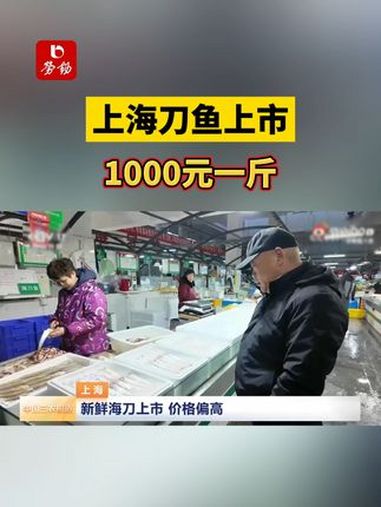 上海刀鱼上市1000元一斤!刀鱼 上海 上市