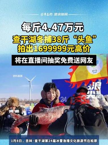 每斤4.47万元！查干湖冬捕38斤“头鱼” 拍出1699999元高价，将在直播间抽奖免费送