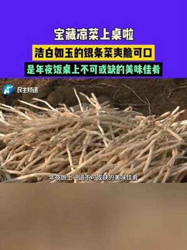 河南洛阳:宝藏凉菜上桌啦!洁白如玉的银条菜爽脆可口,是年夜饭桌上不可或缺的美味佳肴