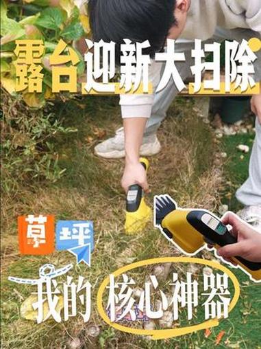 新年第一顿露台烤肉，差点被杂草“劝退”了 #电动草剪 #小型割草机 #草坪修剪 #锂电绿篱
