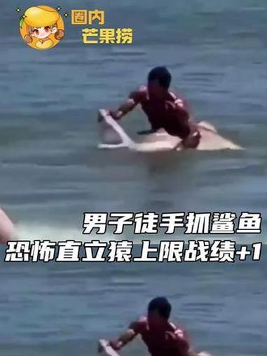 未成年鲨鱼请在成年鲨鱼的陪同下观看！（视频无不良引导）#鲨鱼 #公牛鲨 #魔王护 #mvp
