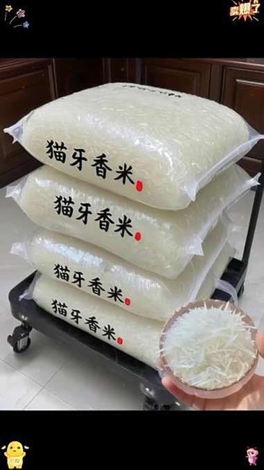 泰国香米正宗猫牙米长粒原粮进口茉莉香梯田新大米10斤5斤家庭装