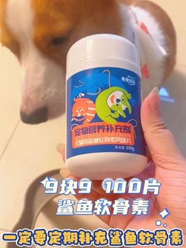 谁敢信才9块9就能到手100片鲨鱼软骨素,特别是中老年猫狗真 的要坚持喂 有宠日记 宠物鲨
