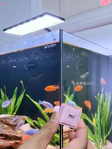 鱼缸清理 磁吸擦缸神器 清理水渍 除藻