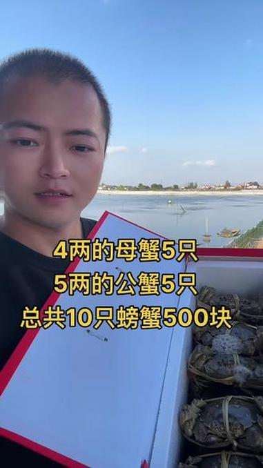 4两的母蟹5只5两的公蟹5只总共10只螃蟹500块 王一洲 微信 W670493 上海 苏