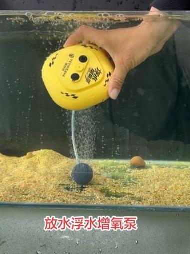 真正为钓鱼人设计的IPX7级防水浮水增氧泵,丢进水里就能增氧 #钓鱼增氧泵 #增氧机 #增