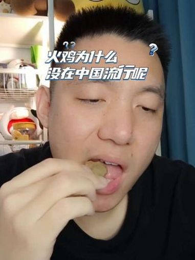 你吃过火鸡么?