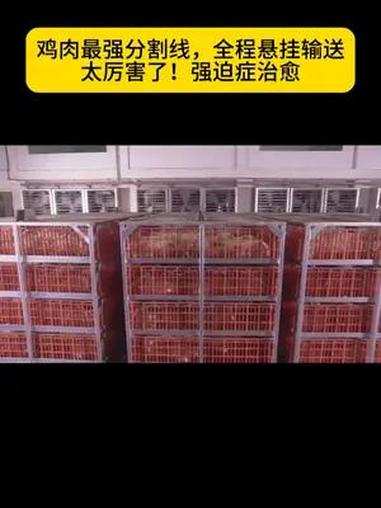 来看看我们悬挂链在鸡肉分割线上的应用 全程悬挂输送,强迫症治愈 悬挂链 输送设备 生产线 