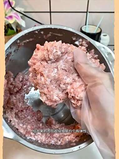 新飞5升大容量配4套刀具多功能不锈钢绞肉机！家里放上一个真的好实用！做点蒜蓉酱，辣椒酱啊，