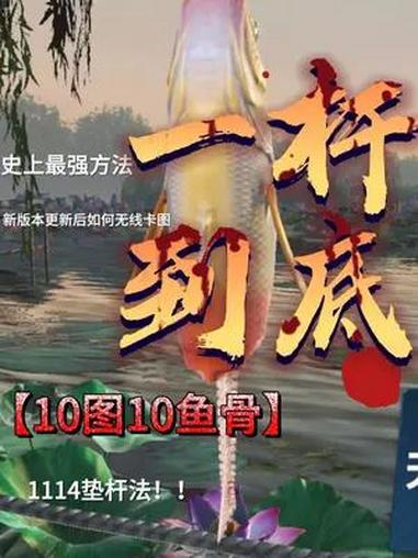 一杆到底1114卡全图鱼骨 攻略;学会=赢麻