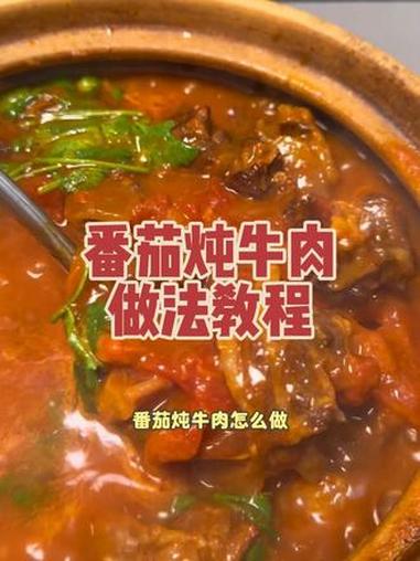 番茄炖牛肉做法教程 #番茄炖牛肉 #番茄牛肉