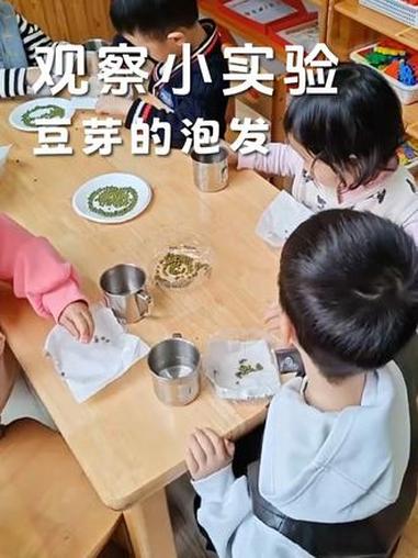 融合幼儿园趣味课,观察小实验,豆芽的泡发 融合幼儿园 幼儿园小实验 融合教育 鹿小希 集体