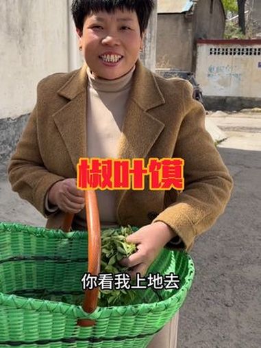 新鲜花椒叶烙油馍,你吃过吗 春天的味道 野菜美食 家乡的美味