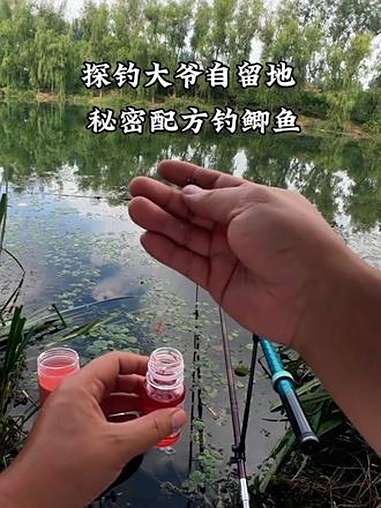 探钓大爷秘密基地,用大爷的配方能钓到多少鱼?钓鱼 CanFishcf1 水下摄像头 钓鱼技
