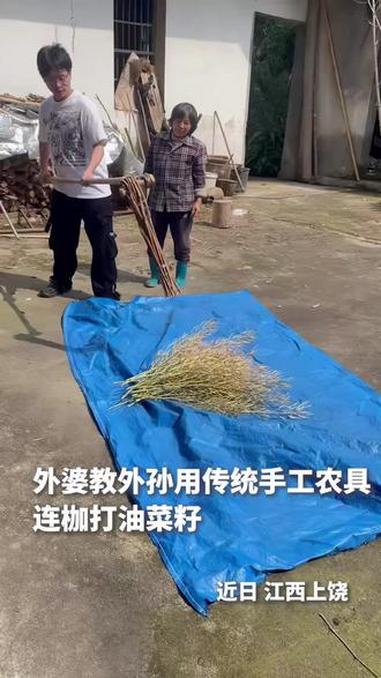你见过打油菜籽吗？外婆手把手教外孙，用传统手工农具连枷打油菜籽。这一起一落的动作里，藏着农