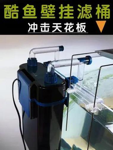 如何选择鱼缸壁挂过滤桶?高性价比大空间的 小鱼缸 鱼缸过滤 壁挂滤桶 开缸 养鱼