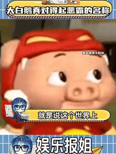 大白鹅真对的起自己村中恶霸的名字 大白鹅 临汾动物园 老虎 看一遍笑一遍 可爱到爆炸
