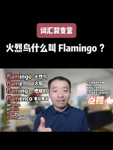 火烈鸟什么叫 Flamingo?背单词 零基础英语 英语没那么难