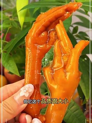 泡椒凤爪25g卤味盐焗多味鸡爪子山休闲鸡脚香麻辣即食袋装小零食-2