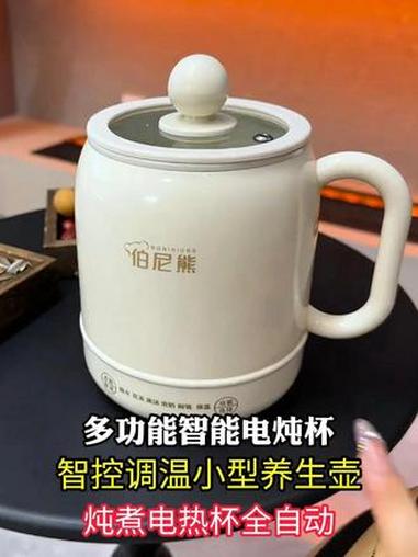 多功能智能电炖杯智控调温小型养生壶焖饭差旅炖煮电热杯全自动买了一个 电炖杯 煮水 煮鸡蛋 