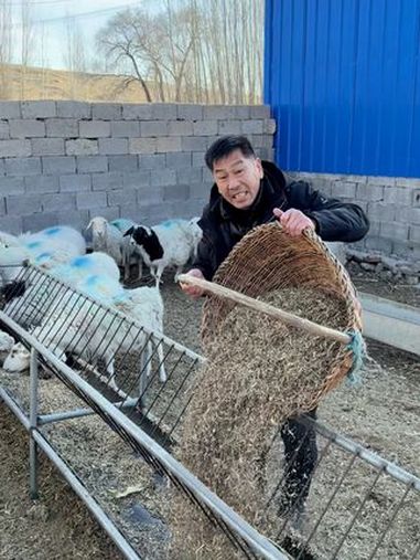 内蒙老丈人带南方女婿去牧区收羊羔 南北差异 小福老丈人和佳辉的日常 东北人 盛佳辉