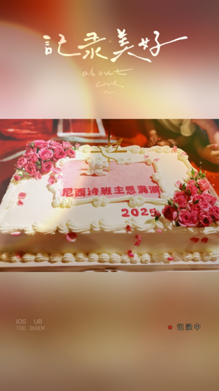 突破记录之最22寸长方形蛋糕