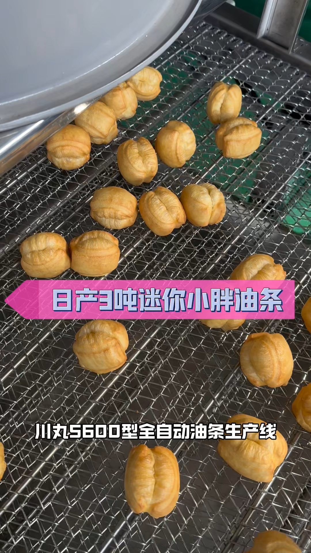 日产3吨小胖油条