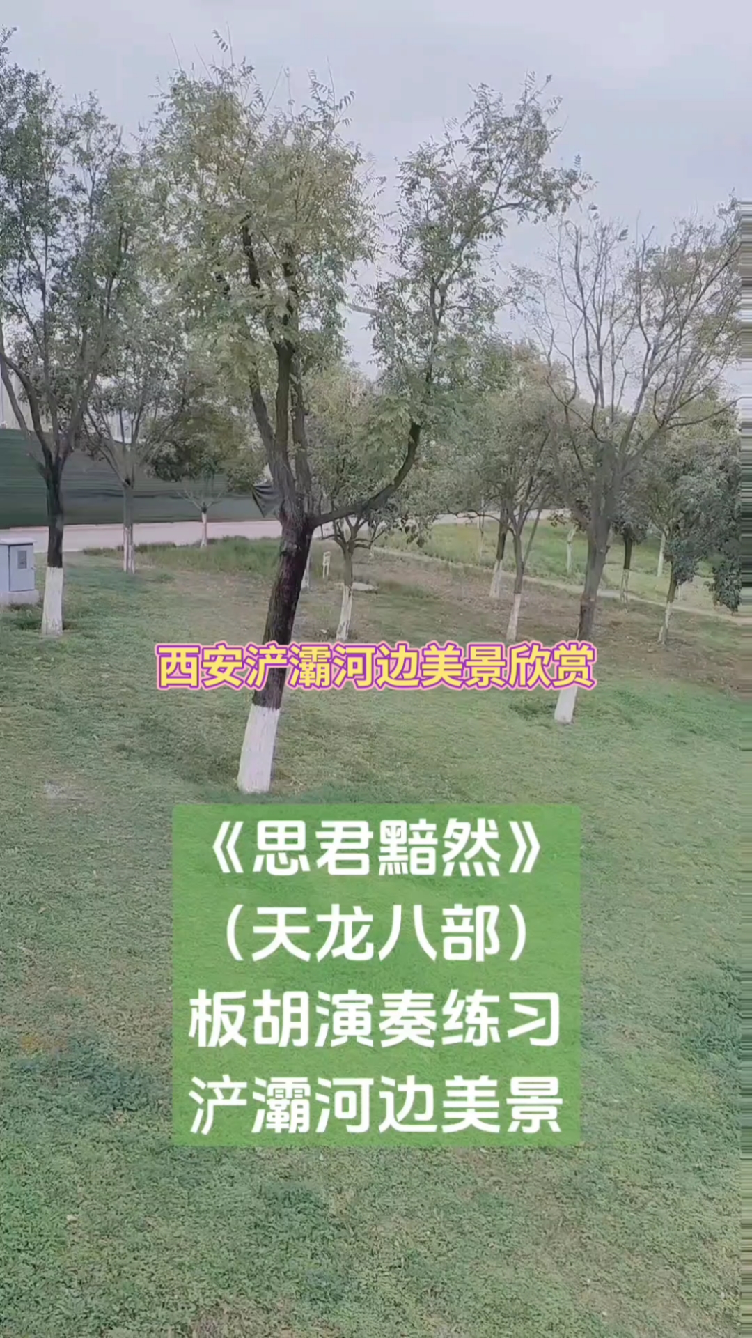《思君黯然》(天龙八部)浐灞河边美景欣赏,小板胡演奏练习