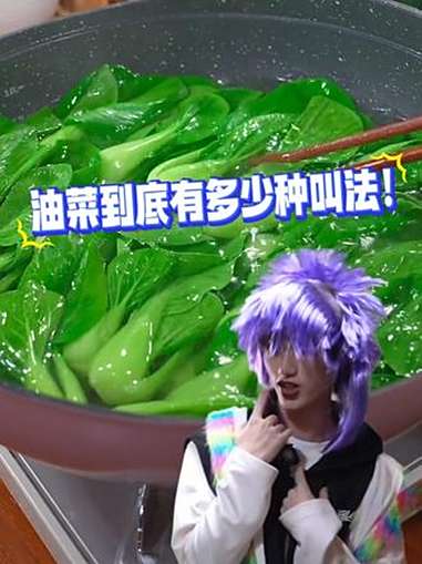 油菜全国通用的名字是“上海青”,你们那里叫什么?丁程鑫