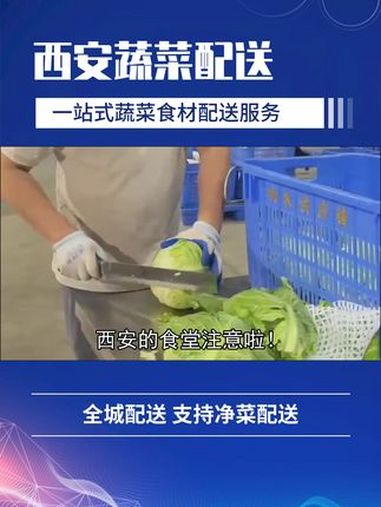 蔬菜种类繁多,时令上市,确保食材新鲜又应季。陕西西安食堂蔬菜配送公司服务方案 食堂蔬菜配送