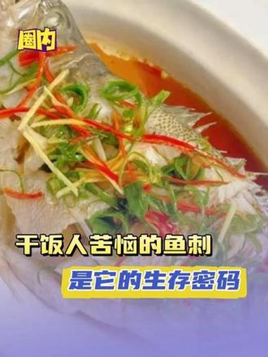 鱼身体里每根刺,都是它的生存密码#鱼 #鱼类 #鱼刺 #万万没想到