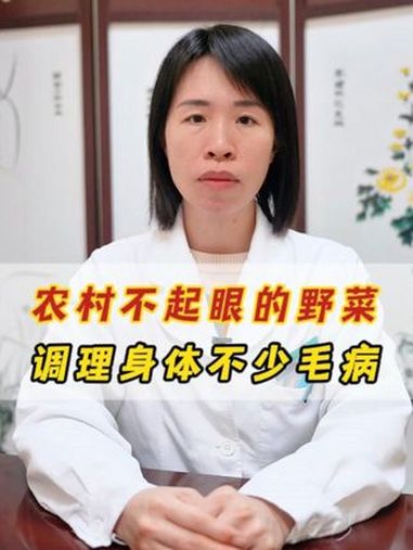 农村不起眼的野菜,调理身体多种小毛病 荠菜 中医 中药材 科普一下 草本植物