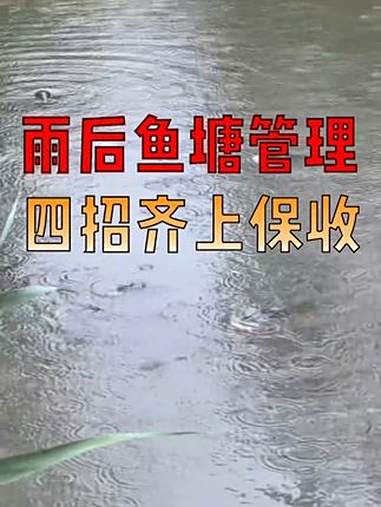 别让一场雨毁了鱼塘的平衡，这四步做到位，才能清除隐患！养鱼人 养鱼 水产养殖技术 水产