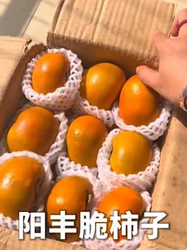 等了一年的巧克力脆甜柿子终于成熟啦 脆甜柿子 柿子 脆柿子 脆柿 水果