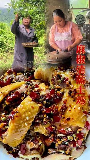 云南狗屎花椒清蒸鸡 农村简单生活方式今天来份花椒土鸡 乡村特色菜肴 创作灵感 土鸡 农村 