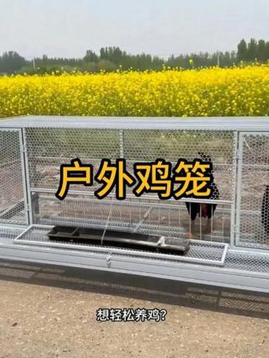 户外养鸡笼鸡棚养殖鸡笼子防黄鼠狼加厚母鸡下单笼农村家用养殖笼 #养鸡笼 #鸡笼子 #养鸽子
