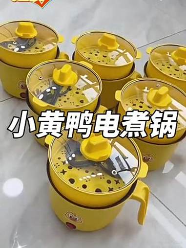 多功能小电锅 小电锅1-2人专用 多功能电煮锅