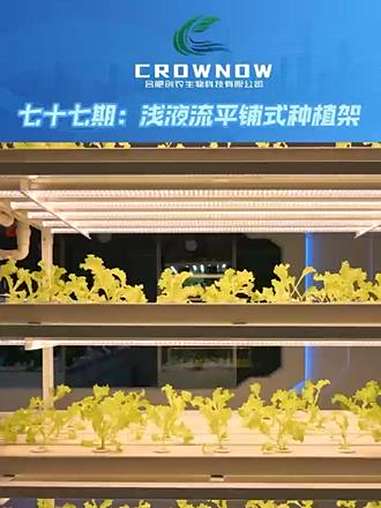 创农浅液流平铺式种植架 家里空间小,种菜种花总是放不开?试试这款「平铺种植架」,占地仅1㎡