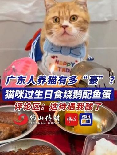 广东人养猫有多“豪”?猫咪过生日食烧鹅配鱼蛋。(编辑:甘乐;责编:唐欣瑜;素材来源:网友@