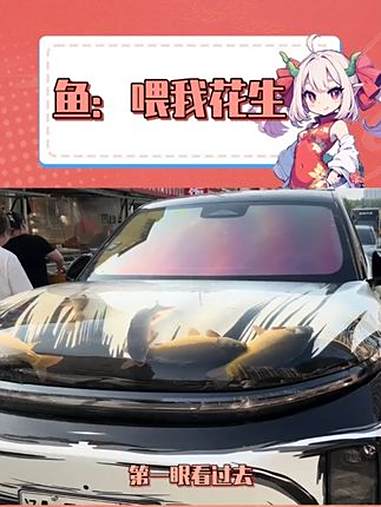 这还没到家就得成鱼汤 车 鱼 离谱 内容启发搜索