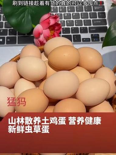农村土鸡蛋 散养土鸡蛋 营养丰富 wz