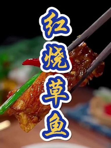 红烧草鱼 一起学做菜 美食教程