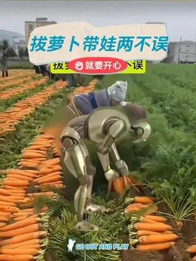 今天被惊到了,机器人拔萝卜带娃两不误 机器人干农活视频大全 三农