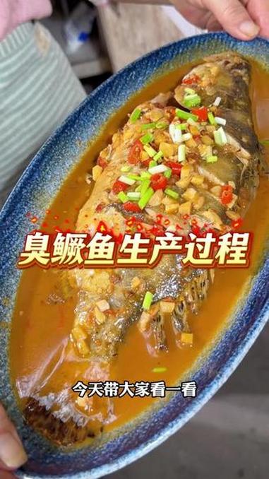 给大家看看臭鳜鱼的“臭”是怎么来的 臭鳜鱼 专鳜臭鳜鱼 安徽特产 臭鳜鱼做法 产地直发