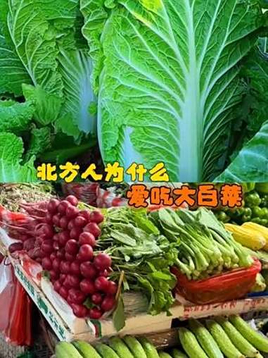 大白菜简直就是蔬菜界的白月光 白菜 吃货日常 娱乐评论大赏
