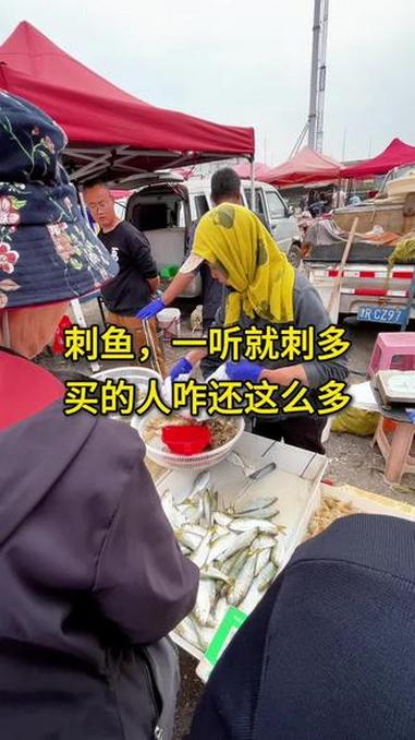 刺鱼,一听就刺多,怎么这么多人喜欢呢#百姓生活 #人间烟火 #刺鱼