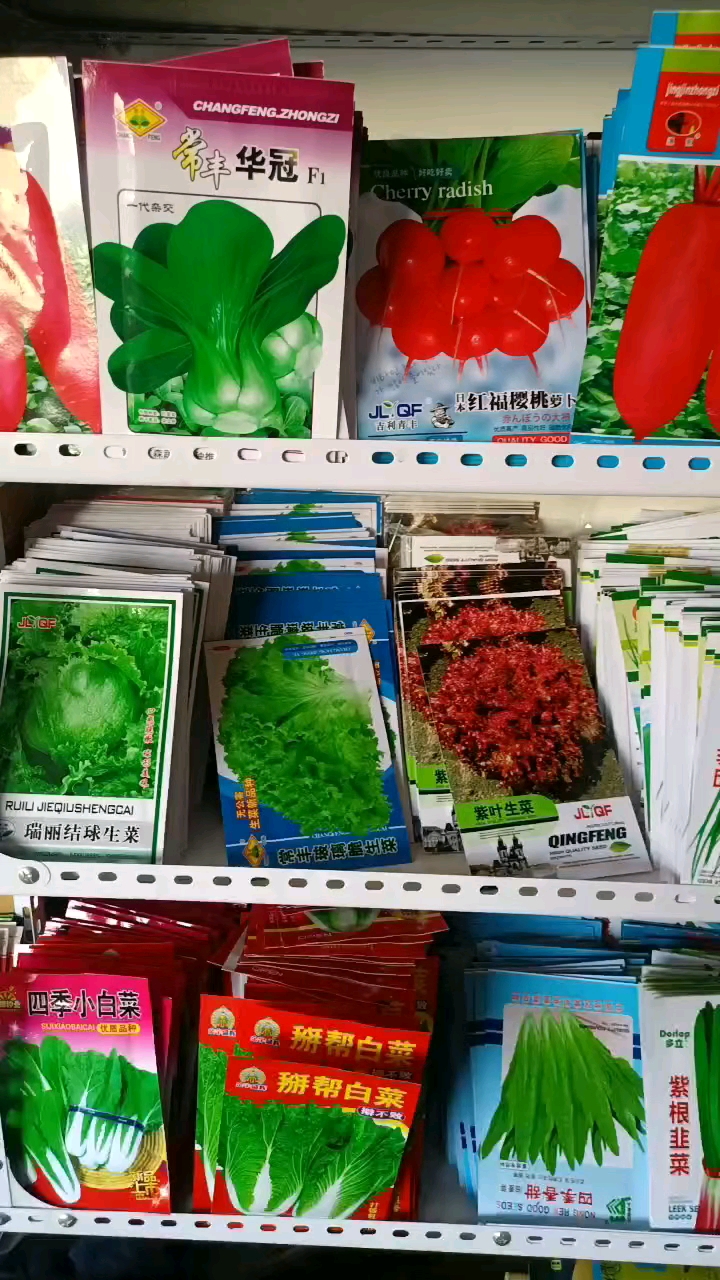 农大种业蔬菜种子