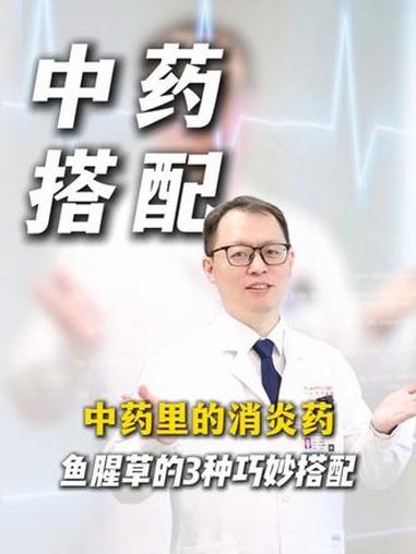 中药里的消炎药鱼腥草的3种巧妙搭配 #医学科普 #鱼腥草 #中医 #抖出健康知识宝藏