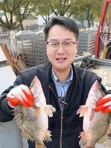 桃花流水鳜鱼肥,春天的臭鳜鱼更好吃